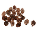20PCS Natural Pine Cone Ornament Christmas Party Decoration Holiday Decor