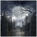 100*150cm Halloween Vinyl Studio Backdrop Photographyp Photo T6K3