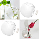 2pcs Half Ball Wall Hanging Flowerpot Glass Hydroponic Pot Plant Container Home