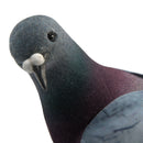 Mini Removable Simulation  Compression Foam Birds Home Decoration Garden