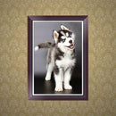 DIY 5D Diamond Embroidery Dog Animal Painting Cross Stitch Craft Home Decor