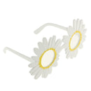 Funny Daisy Flower Glasses Fancy Dress Wedding Birthday Party Gift Favors