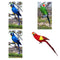 4 Pieces Realistic Feathered Parrot Birds Statue Indoor Outdoor Garden Art