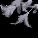 White Dream Catcher Circular With Feather Wall Hanging Decoration Decor Cr F Gw
