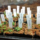 300 Pcs 4 Inch Plastic Plant Tags Garden Nursery Labels Q9V1
