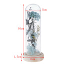 16cm Enhanced Dried Flower Glass Cover Display Cloche Jar Dome Wooden Base c