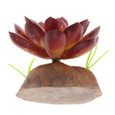 2Pack Reptile Succulent Plants Fish Tank Ornament Desert Plant Artificial