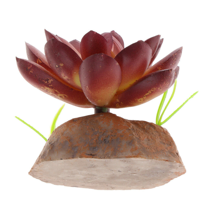 2Pack Reptile Succulent Plants Fish Tank Ornament Desert Plant Artificial