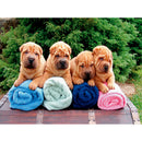 DIY Animal 5D Full Square Drill Diamond Painting Cross Stitch Gift (NF0133)