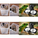 4 pcs Reptile  Gecko Food and Water Bowls for Small Reptiles Gecco