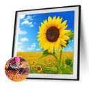 Flower 5D Diamond Painting Full Round Drill DIY Rhinestone Picture (LG563)