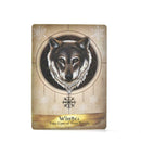 Angels and Ancestors Oracle Cards: A 55-Card Deck and Guidebook by Kyle Gray