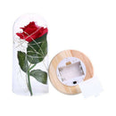 LED Light Artificial Rose Flower Glass Shade Wedding Decor Valentine's Day Gift