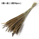 50pcs Natural Dried Thousand Grass Reed Flower Bunch Wedding Plant Decor _AU