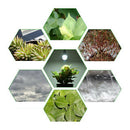 Waterproof E27 LED Indoor Plants Grow Light Bulbs 85-265V White Light