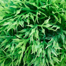 Fish Tank Green Plastic Artificial Grass Ball Plant 5.1" Height