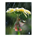 5D DIY Full Drill Diamond Painting Frog Cross Stitch Embroidery Craft Kit