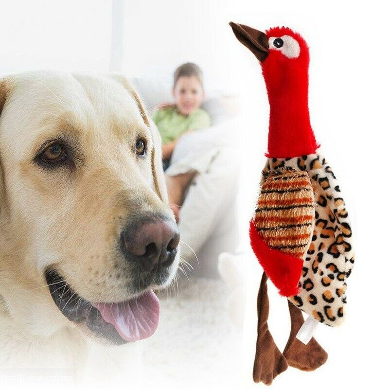 Pet Dog Puppy Cute Squeak Plush Bird Stuffing Interactive Sound Play Toys-R