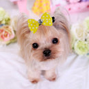 10pcs Colorful Pet Grooming Accessories Cat Dog Hair Bows Hair Clips Beauty Kit