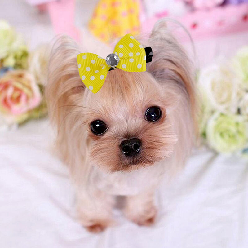 10pcs Colorful Pet Grooming Accessories Cat Dog Hair Bows Hair Clips Beauty Kit
