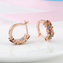 Charm Fashion Women Lady Elegant Crystal Rhinestone Ear Stud Earrings Jewelry H