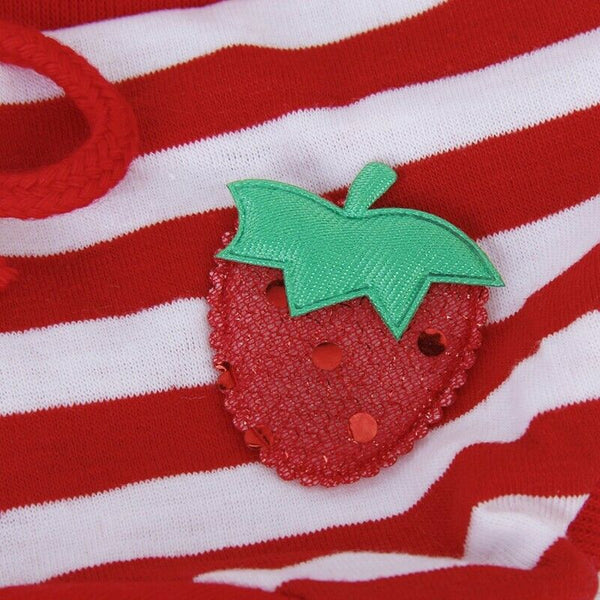 Female Pet Dog Hygienic Sanitary Diaper Pant Brief for Small Dog G4W1