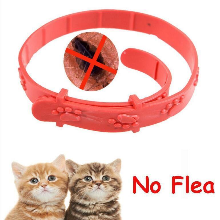 Pet Safety Collar Large Dog Anti Flea Tick Mosquito Elimination Plastic
