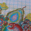 1 Set Cross Stitch Starter Kit, Full Range of Embroidery Starter Kit with Fruits