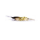 10Pcs Artificial Fishing Lure Bionic Shrimp Soft Bait Fishing Tackle Lifeli O5H7