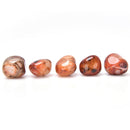5Pcs Natural Banded Agate Madagascar,Xlarge Tumbled Beautiful Patterns   Z