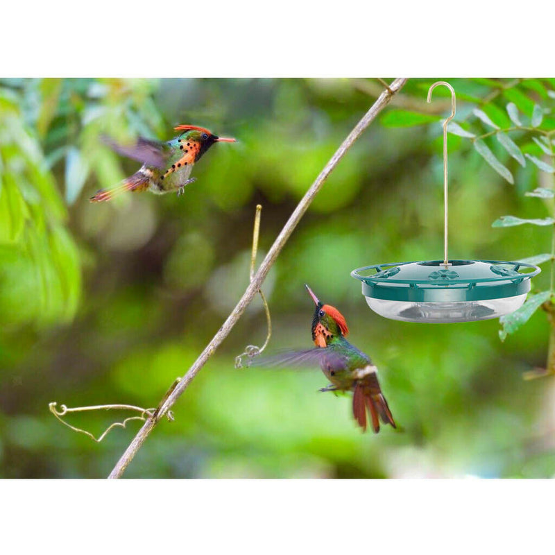 Hummingbird Feeder Garden Outdoor Plastic Flower Iron Hook Parrot Feeder Green