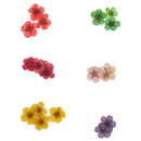 12 Colors Real Dry Nail Flower Art Decoration Manicure Nails DIY Stickers