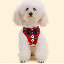 Dog Vest Pet Dog Harness Leash Set for Small Medium Dogs Bow Tie Formal Dre