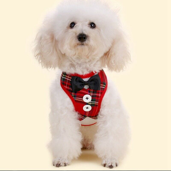 Dog Vest Pet Dog Harness Leash Set for Small Medium Dogs Bow Tie Formal Dre