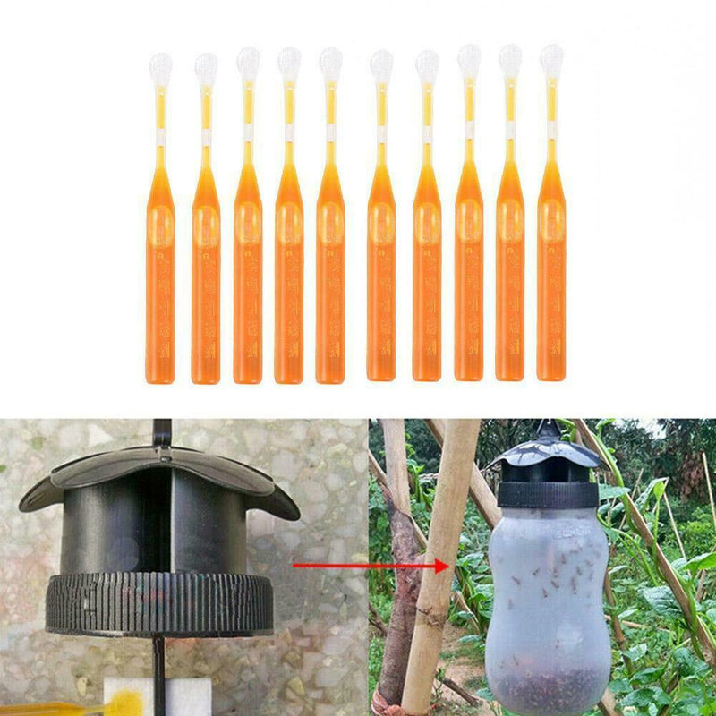 10Pcs Bee Swarm Attractant Lures Bait Trap Beekeeping Hive Honey Fruits Tools
