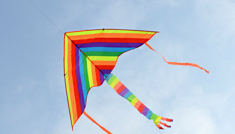 1m Rainbow Delta Kite outdoor sports for kids Toys easy to fly MOAU