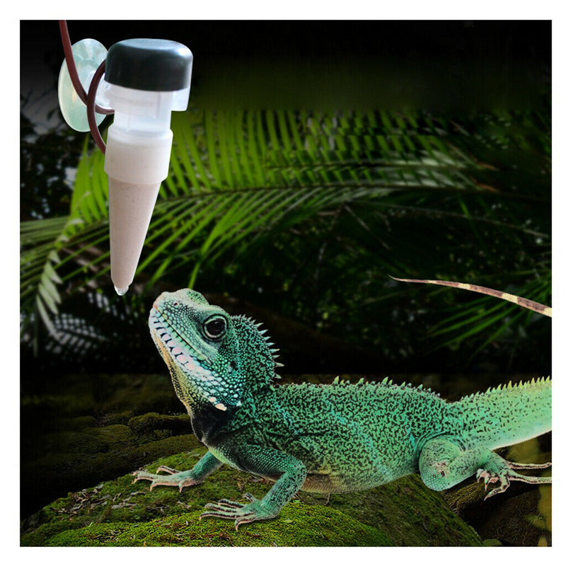 2Pcs Reptile Food Dish Water Drinker Dispenser Food Bowl Lizard Tortoise Feeder