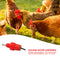 5pcs Spring Type Chicken Red Nipples Drinking Automatic Water Dispenser