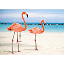 5D DIY Full Drill Diamond Painting Pink Bird Embroidery Mosaic Craft Kit