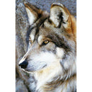 5D DIY Full Drill Diamond Painting Wolf Embroidery Mosaic Craft Kit (B001)