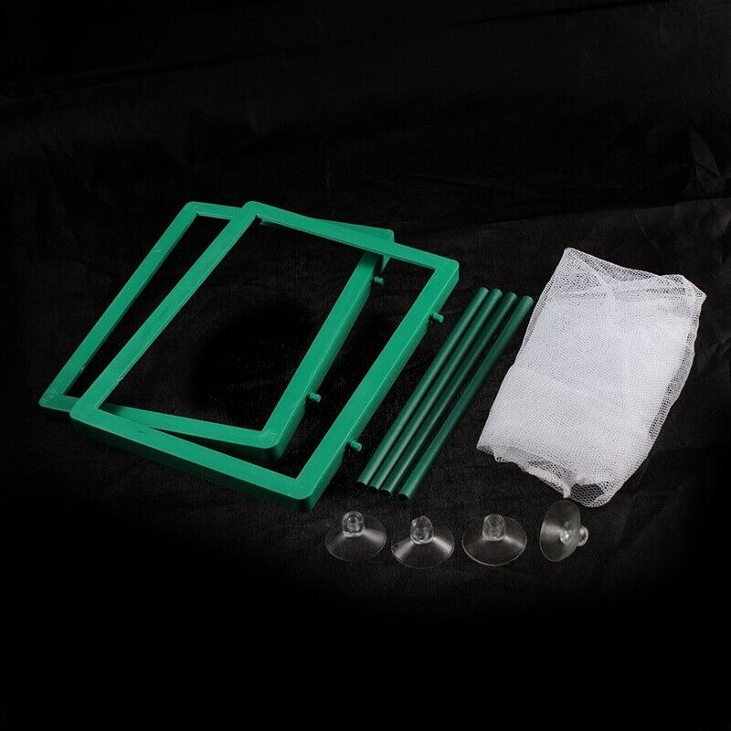 Breeding Hatchery Isolation Box Aquarium Net Breeder Bearer