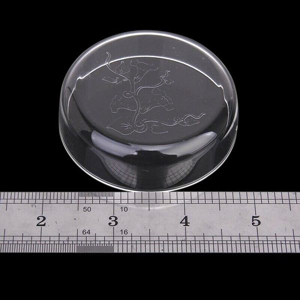 Acrylic Shrimp Feeding Food Dish for Aquarium Fish Tank W2A6