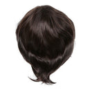 Fashion men's wig short straight high temperature silk Synthetic wig full w