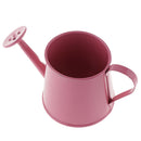 Pastoral Style Colorful Metal Tin Flower Pot Mini Bonsai Watering Can Pink