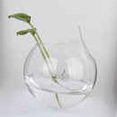 5Pc 4inch Hanging Glass Ball Vase Flower Plant Pot Terrarium Container Decor