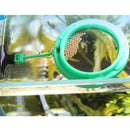 1pc Fish Food Ring Aquarium Fish Tank Small Type Tropical Fish FeSEAU