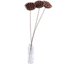 Lotus Natural Dried Flowers Bouquet Branch Decorations Floral for Party H-3C