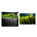 Aquarium Fish Tank Background Poster Grass Landscape Decor 61x30cm