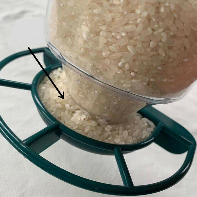 2xSuction Up Window Bird Feeder Hanging Wild Bird Feeder Auto Dispensing Feeding