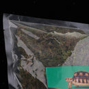 Natural Green Moss Terrarium Plant Moss Fern Pet Reptile Habitat Decoration